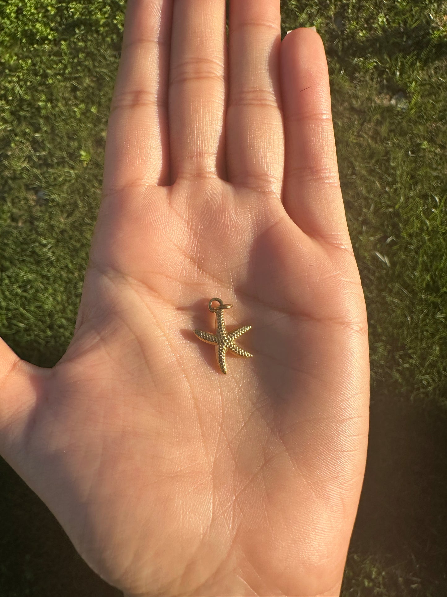 Starfish Charm