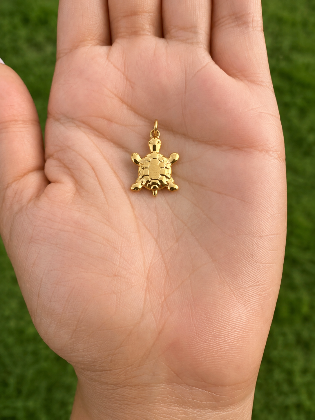 Sea Turtle Charm