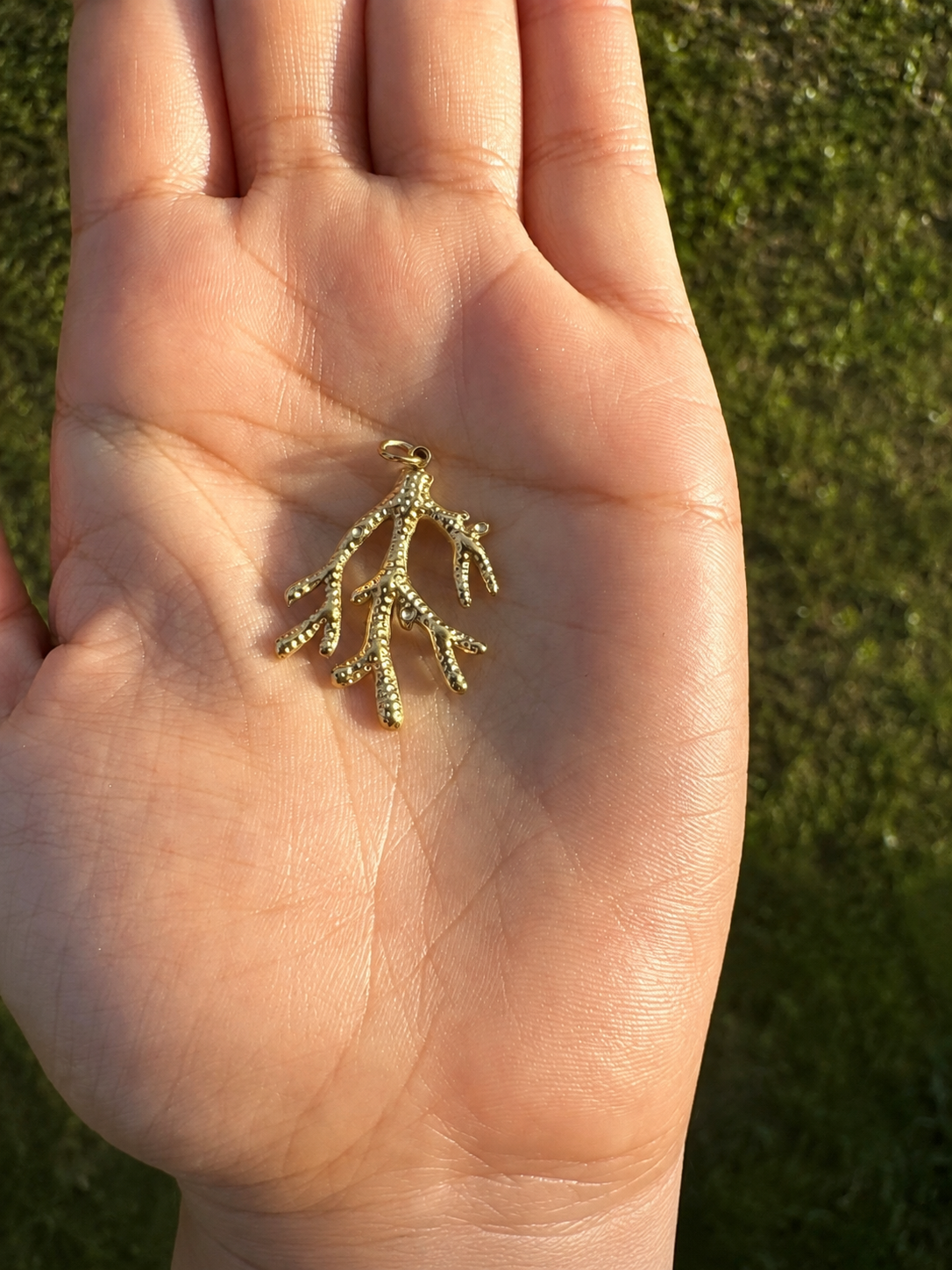 Coral Charm
