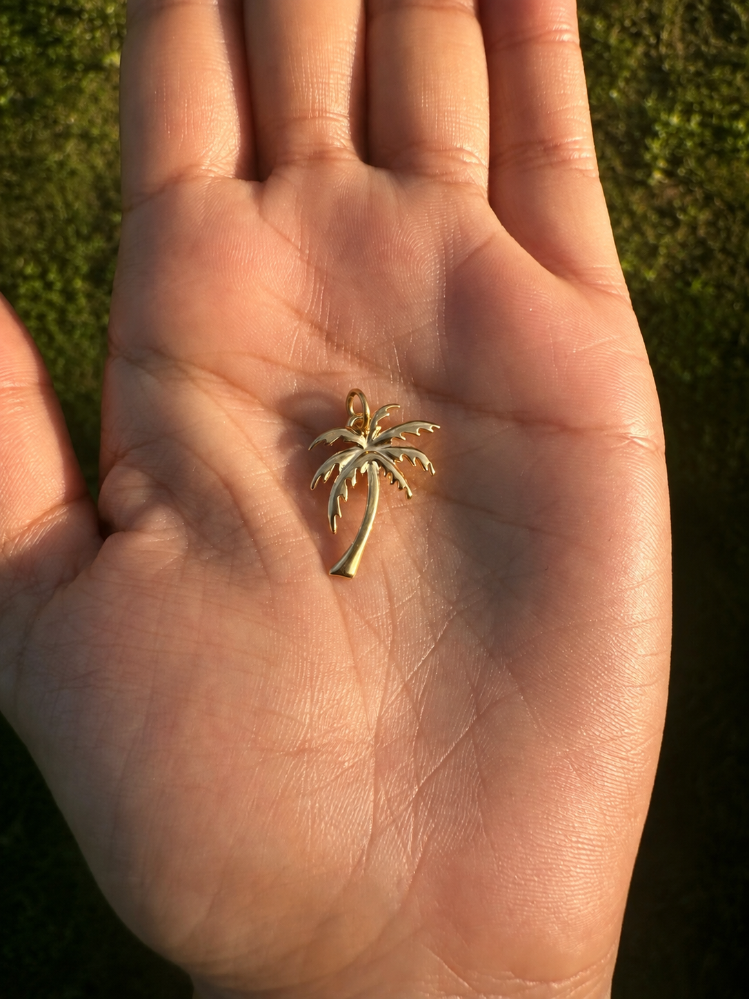 Palm Tree Charm