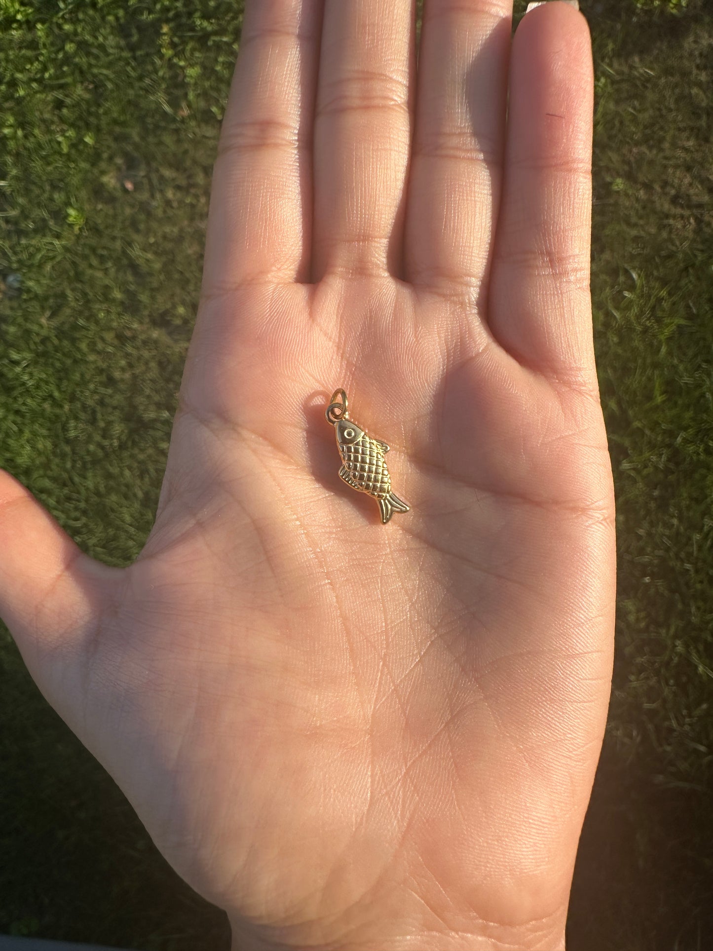 Golden Fish Charm