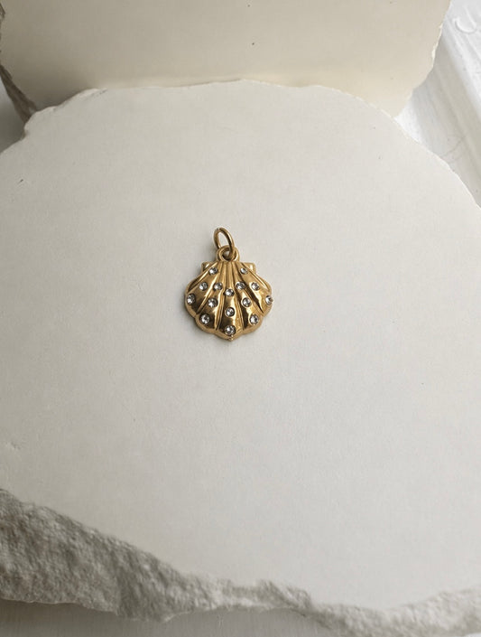 Stones Shell Charm