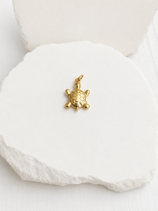 Sea Turtle Charm