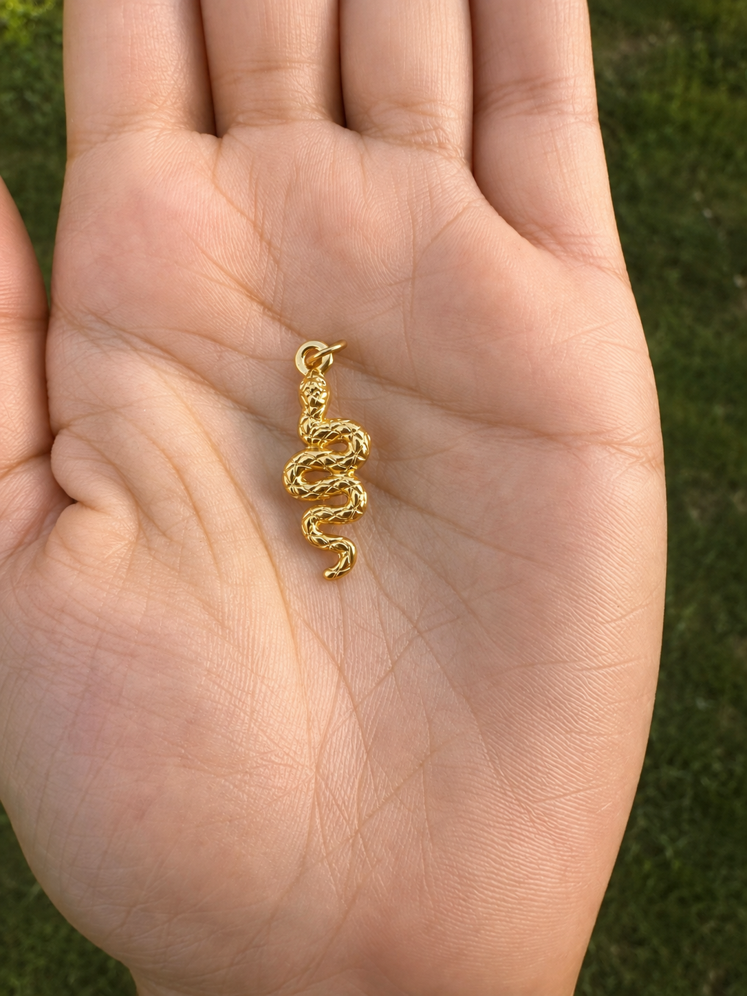 Snake Charm