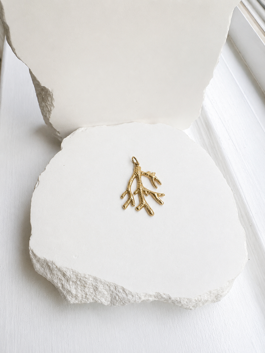 Coral Charm