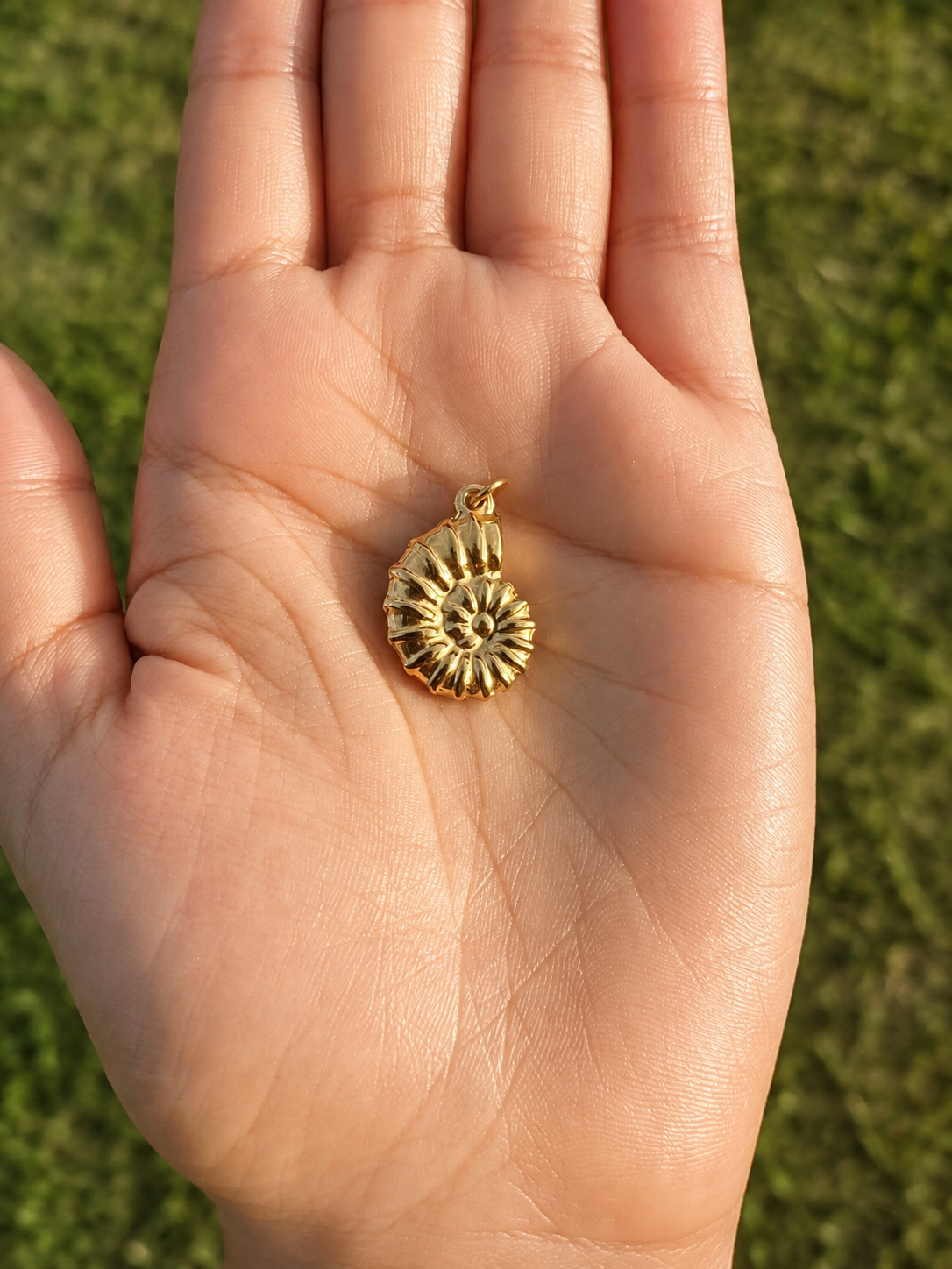 Nautilus Charm
