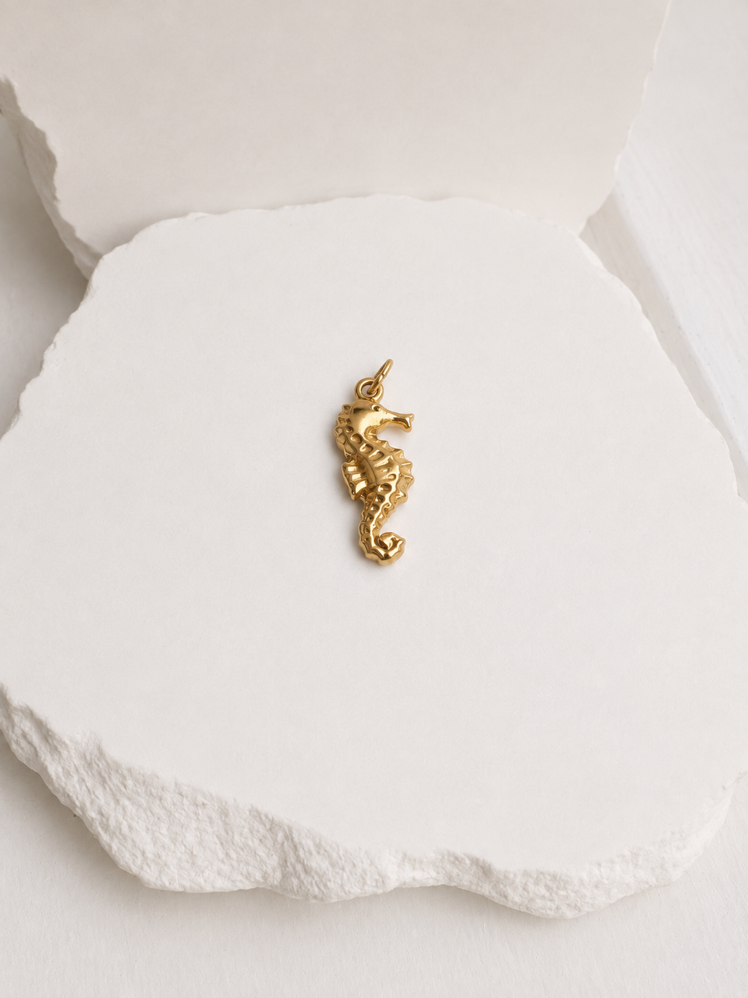 Seahorse Charm