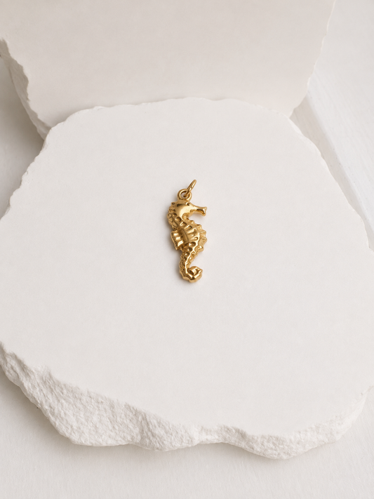 Seahorse Charm