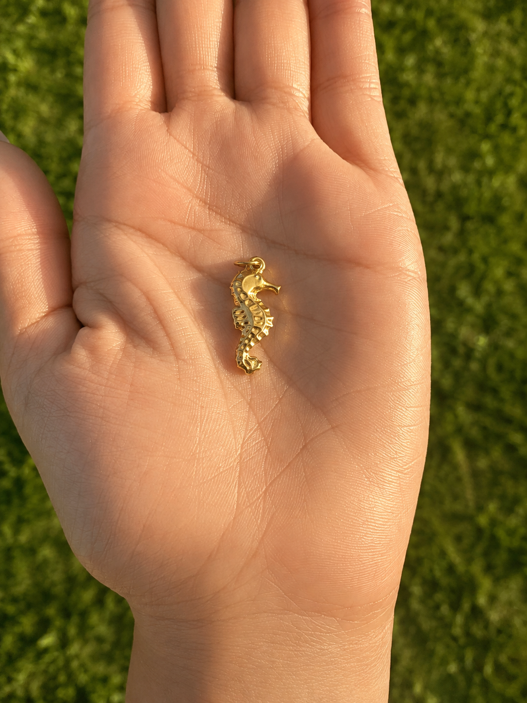Seahorse Charm